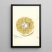 Reproduction of the painting Citrus paradisi Standard - Bertha Heiges