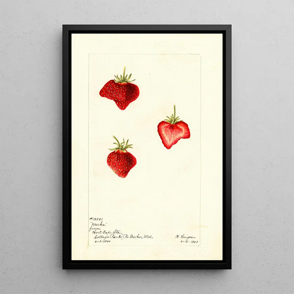 Fragaria Meeks - Bertha Heiges — framed artwork on a wall