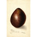 Persea Baldwin - Bertha Heiges — artwork view