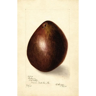 Persea Baldwin - Bertha Heiges — artwork view