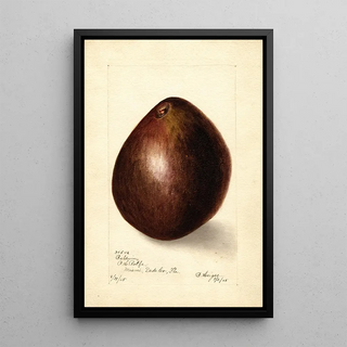 Persea Baldwin - Bertha Heiges — framed artwork on a wall
