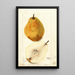 Reproduction of the painting Pyrus communis Kieffer - Bertha Heiges