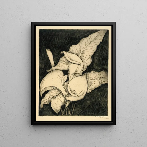 Callas - Bertha Jaques — framed artwork on a wall