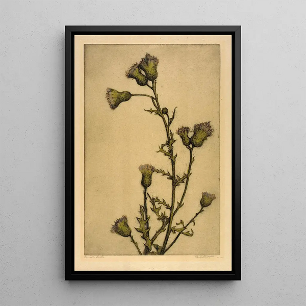 Canadian Thistle Painting - Bertha Jaques — framed artwork on a wall