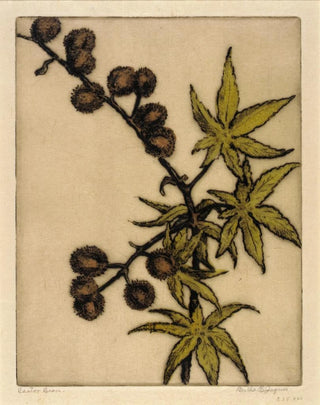 Ricin - Bertha Jaques — artwork view