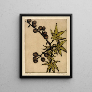 Ricin - Bertha Jaques — framed artwork on a wall