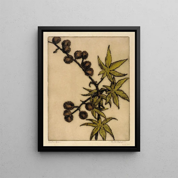 Ricin - Bertha Jaques — framed artwork on a wall