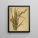 Glaïeul - Bertha Jaques — framed artwork on a wall