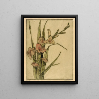 Glaïeul - Bertha Jaques — framed artwork on a wall