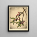 Cerises de mai - Bertha Jaques — framed artwork on a wall