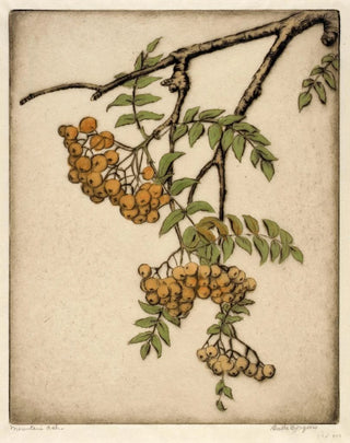 Sorbier - Bertha Jaques — artwork view