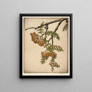 Sorbier - Bertha Jaques — framed artwork on a wall