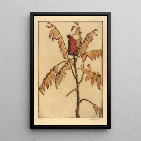 Sumac - Bertha Jaques — framed artwork on a wall