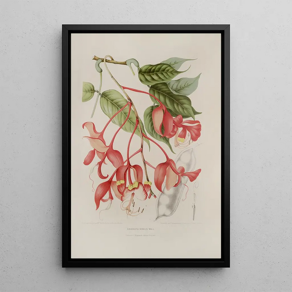 Reproduction of the painting Java Island Flowers, Fruits, and Foliage Selected Painting Pl02 - Berthe Hoola van Nooten