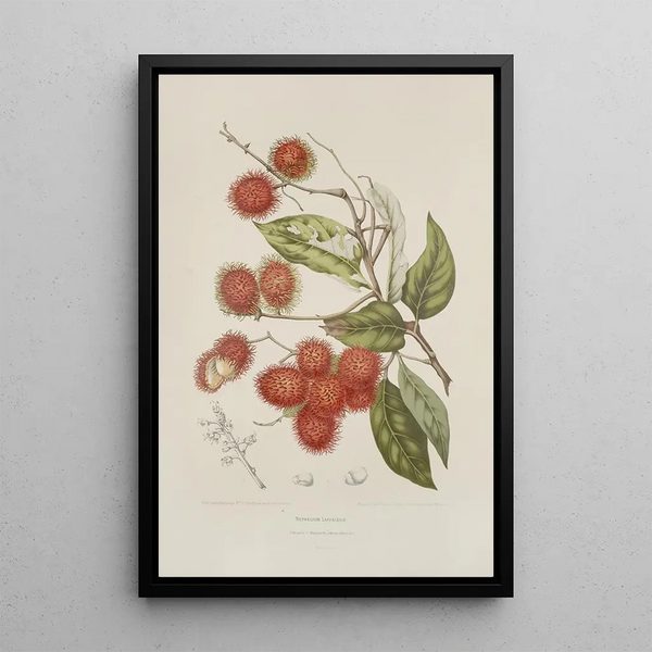 Reproduction of the painting Java Island Flowers, Fruits, and Foliage Selected Painting Pl07 - Berthe Hoola van Nooten