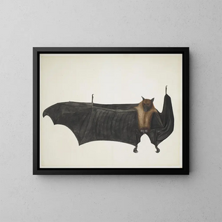Indian Fruit Bat - Bhawani Das — framed artwork on a wall