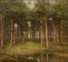 Pine wood at Putte - Jean-Pierre François Lamorinère — artwork view