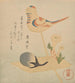 Bonbon en forme d'aubergine oiseau et d'adonis - Kubo Shunman — artwork view