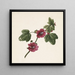 Branch with purple flowers - M by Gijselaar — framed artwork on a wall