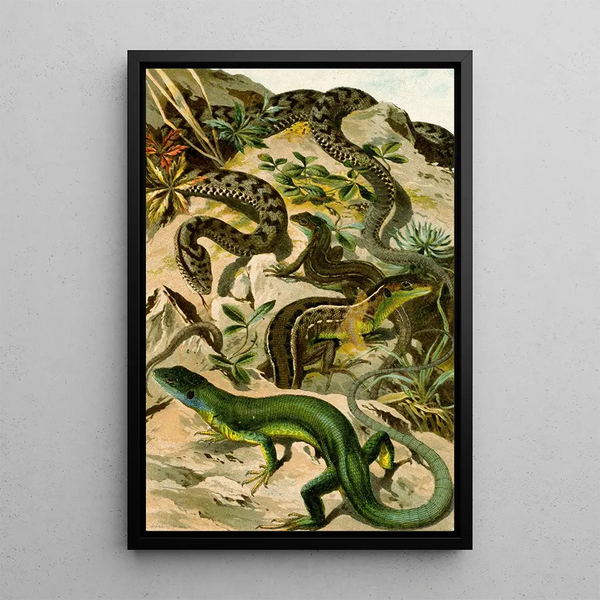 Reproduction of the painting Vipera aspis Lacerta viridis - Bruno Drigen