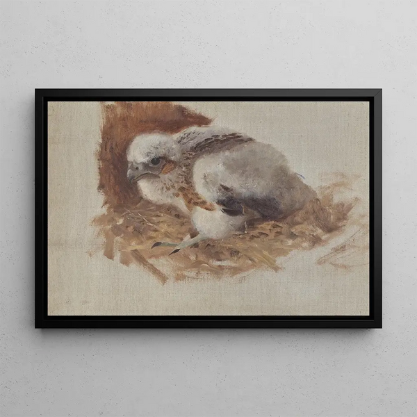 Detailed study of a peregrine falcon nest - Bruno Liljefors — framed artwork on a wall