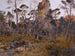 Hunting moose - Bruno Liljefors — artwork view