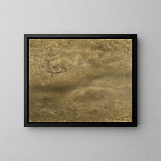Courlis cendré - Bruno Liljefors — framed artwork on a wall