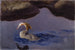 Harle Femelle - Bruno Liljefors — artwork view