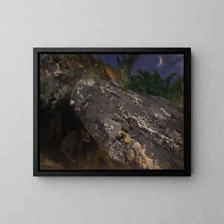 the fox cubs - Bruno Liljefors — framed artwork on a wall