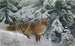 Winter Fox Painting - Bruno Liljefors — artwork view