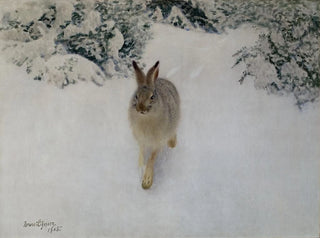 Hare in Winter - Bruno Liljefors — artwork view
