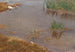 Eaux peu profondes - Bruno Liljefors — artwork view