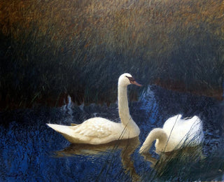 Swans in the Reeds - Bruno Liljefors — artwork view