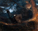L'accouplement des tétras lyres - Bruno Liljefors — artwork view
