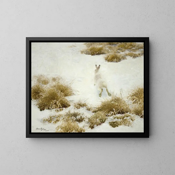 Snow Hare among the Tufts - Bruno Liljefors — framed artwork on a wall