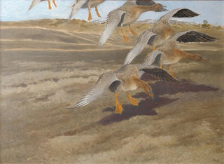 Wild Geese - Bruno Liljefors — artwork view