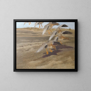 Wild Geese - Bruno Liljefors — framed artwork on a wall