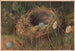The House of the Accentors - C Ryan — artwork view