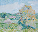 The Big Walnut Tree, Eragny, Autumn - Camille Pissarro — artwork view