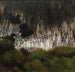 Canards sauvages dans les roseaux - Bruno Liljefors — artwork view