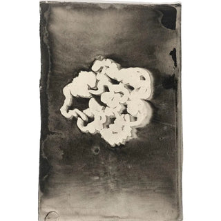 Flower III - Carel Adolph Lion Cachet — artwork view