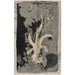 Reproduction of the painting Flower Orchid 1874 1945 - Carel Adolph Lion Cachet