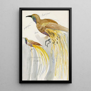 Reproduction of the painting of the Great Bird of Paradise - Carel Adolph Lion Cachet