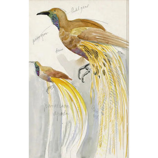 Reproduction of the painting of the Great Bird of Paradise - Carel Adolph Lion Cachet