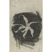 Reproduction of the painting Orchidée - Carel Adolph Lion Cachet