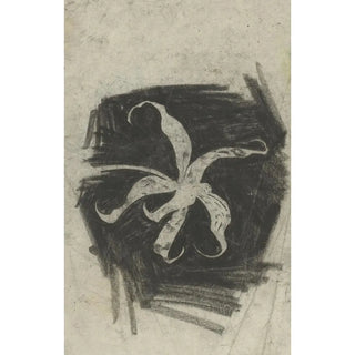 Reproduction of the painting Orchidée - Carel Adolph Lion Cachet