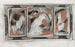 Ornamental Design - Carel Adolph Lion Cachet — artwork view