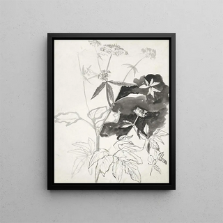 Study of Plants - Carel Adolph Lion Cachet — framed artwork on a wall