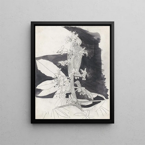Study of plants nettle - Carel Adolph Lion Cachet — framed artwork on a wall