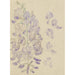 Reproduction of the painting Glycine - Carel Adolph Lion Cachet